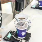 Filter Coffee Brewing Workshop